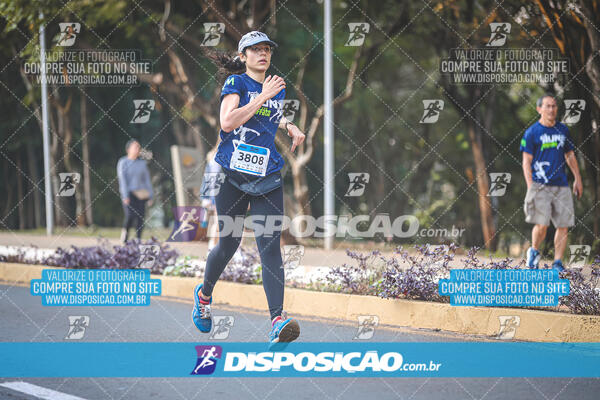 MEIA MARATONA MUFFATO FRESH RUN 2024 – LONDRINA