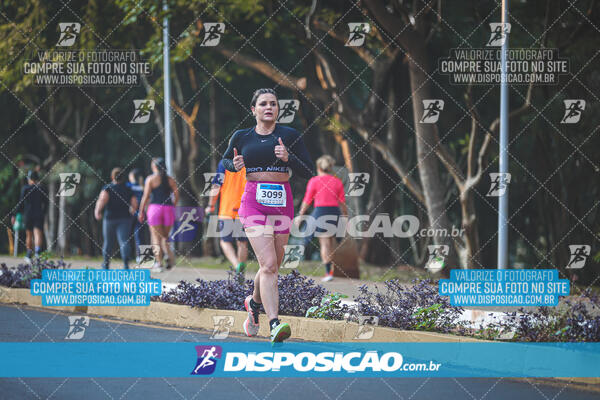 MEIA MARATONA MUFFATO FRESH RUN 2024 – LONDRINA