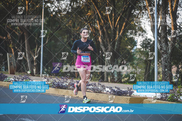 MEIA MARATONA MUFFATO FRESH RUN 2024 – LONDRINA