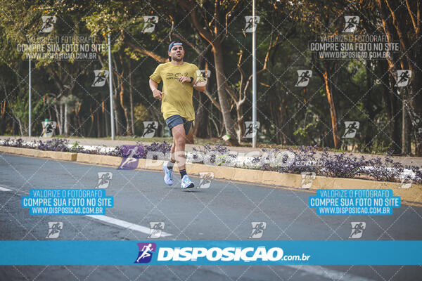 MEIA MARATONA MUFFATO FRESH RUN 2024 – LONDRINA