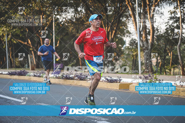 MEIA MARATONA MUFFATO FRESH RUN 2024 – LONDRINA