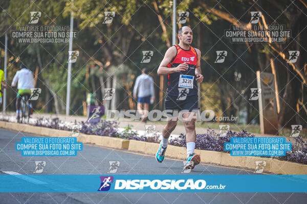 MEIA MARATONA MUFFATO FRESH RUN 2024 – LONDRINA