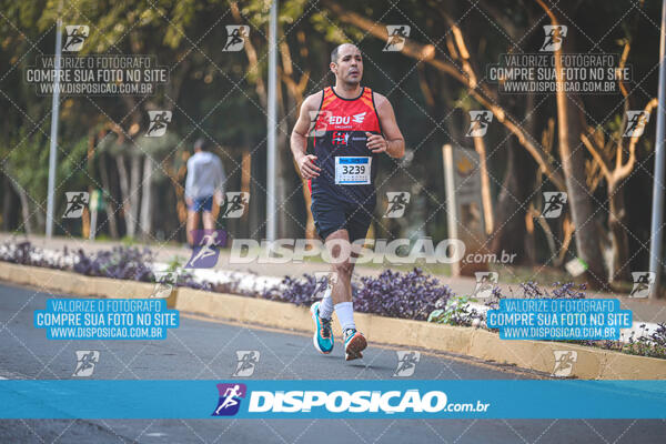 MEIA MARATONA MUFFATO FRESH RUN 2024 – LONDRINA