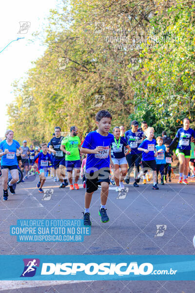 MEIA MARATONA MUFFATO FRESH RUN 2024 – LONDRINA