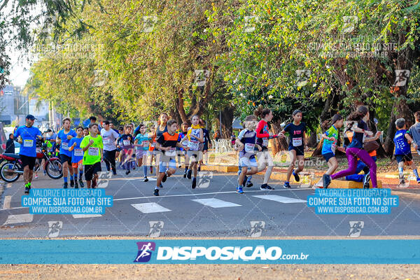 MEIA MARATONA MUFFATO FRESH RUN 2024 – LONDRINA