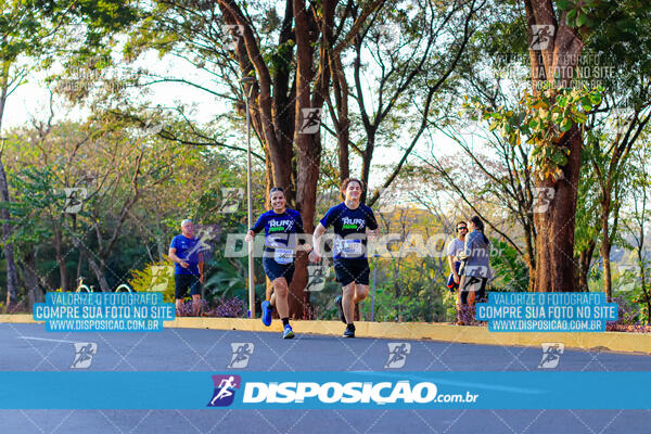 MEIA MARATONA MUFFATO FRESH RUN 2024 – LONDRINA