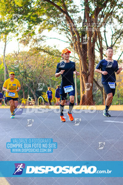 MEIA MARATONA MUFFATO FRESH RUN 2024 – LONDRINA