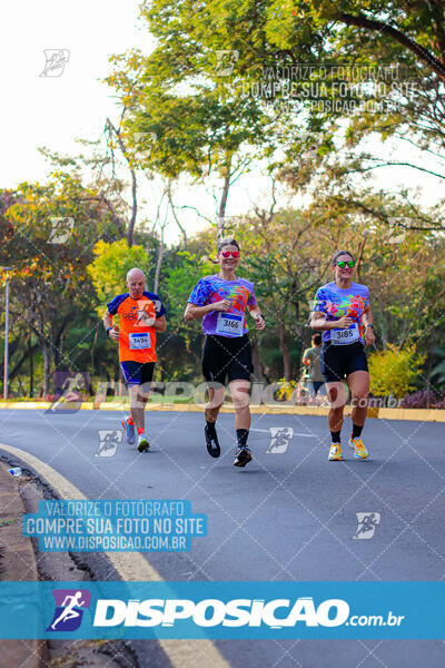 MEIA MARATONA MUFFATO FRESH RUN 2024 – LONDRINA