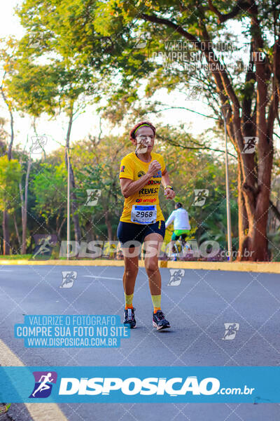 MEIA MARATONA MUFFATO FRESH RUN 2024 – LONDRINA