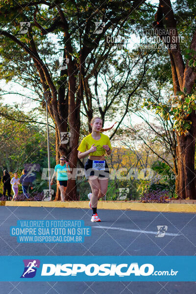 MEIA MARATONA MUFFATO FRESH RUN 2024 – LONDRINA