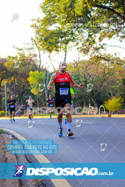 MEIA MARATONA MUFFATO FRESH RUN 2024 – LONDRINA