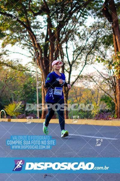 MEIA MARATONA MUFFATO FRESH RUN 2024 – LONDRINA