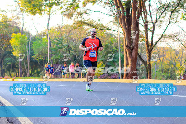 MEIA MARATONA MUFFATO FRESH RUN 2024 – LONDRINA