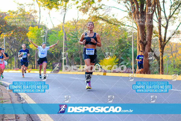 MEIA MARATONA MUFFATO FRESH RUN 2024 – LONDRINA