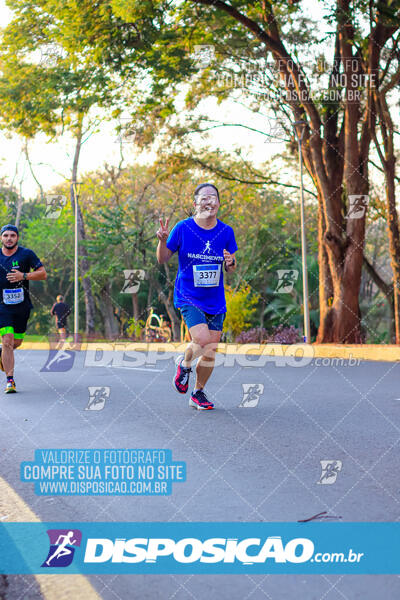 MEIA MARATONA MUFFATO FRESH RUN 2024 – LONDRINA