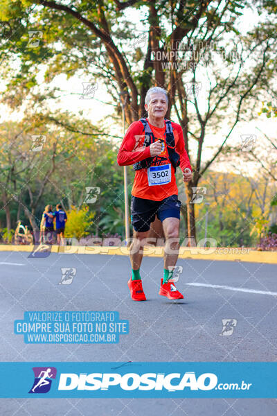 MEIA MARATONA MUFFATO FRESH RUN 2024 – LONDRINA