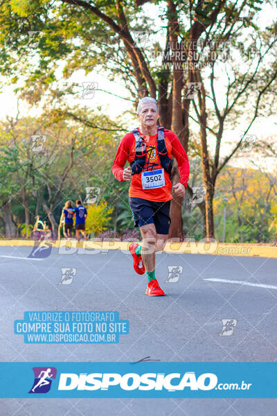 MEIA MARATONA MUFFATO FRESH RUN 2024 – LONDRINA