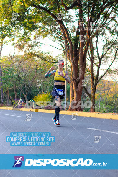 MEIA MARATONA MUFFATO FRESH RUN 2024 – LONDRINA