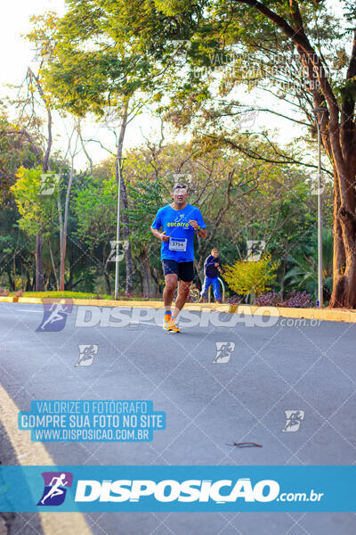 MEIA MARATONA MUFFATO FRESH RUN 2024 – LONDRINA