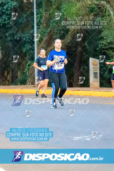 MEIA MARATONA MUFFATO FRESH RUN 2024 – LONDRINA