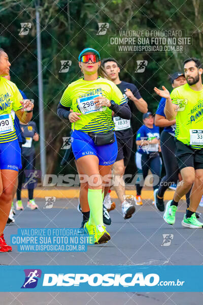 MEIA MARATONA MUFFATO FRESH RUN 2024 – LONDRINA