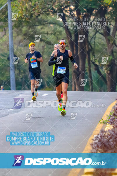 MEIA MARATONA MUFFATO FRESH RUN 2024 – LONDRINA