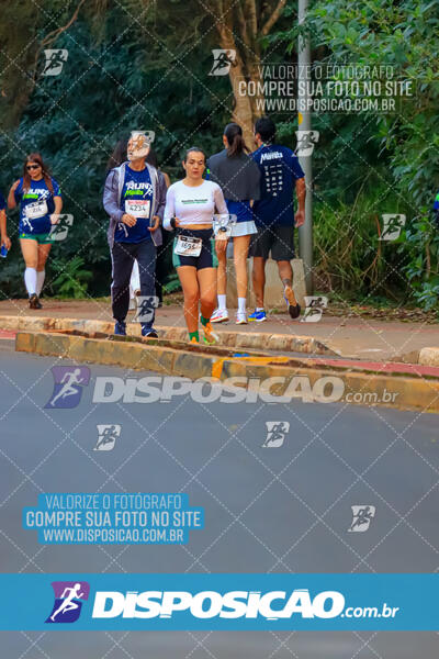 MEIA MARATONA MUFFATO FRESH RUN 2024 – LONDRINA