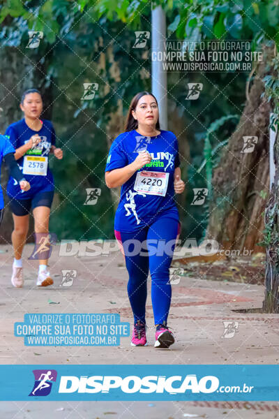 MEIA MARATONA MUFFATO FRESH RUN 2024 – LONDRINA