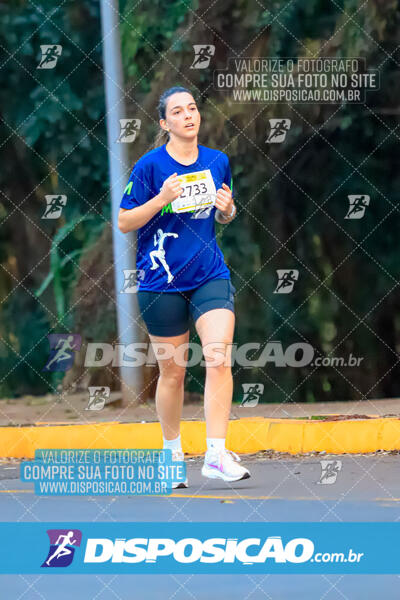 MEIA MARATONA MUFFATO FRESH RUN 2024 – LONDRINA