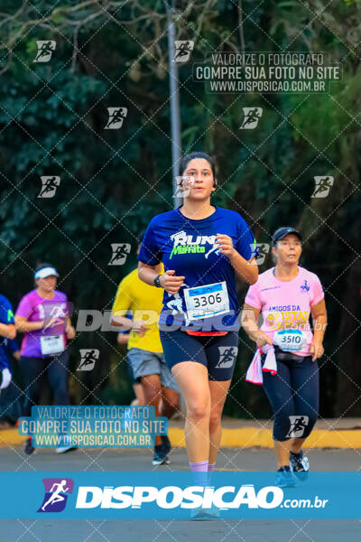 MEIA MARATONA MUFFATO FRESH RUN 2024 – LONDRINA