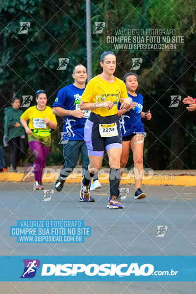 MEIA MARATONA MUFFATO FRESH RUN 2024 – LONDRINA