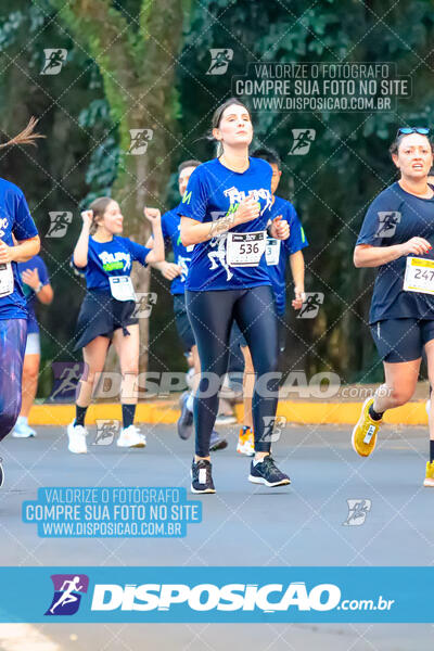 MEIA MARATONA MUFFATO FRESH RUN 2024 – LONDRINA