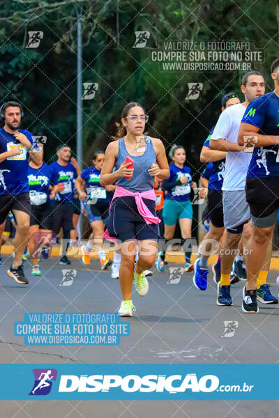 MEIA MARATONA MUFFATO FRESH RUN 2024 – LONDRINA