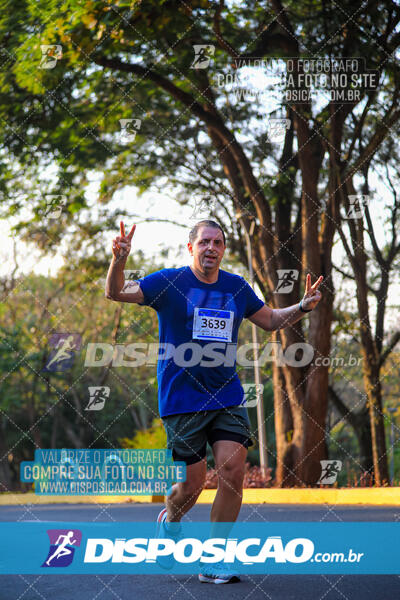 MEIA MARATONA MUFFATO FRESH RUN 2024 – LONDRINA