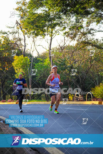 MEIA MARATONA MUFFATO FRESH RUN 2024 – LONDRINA