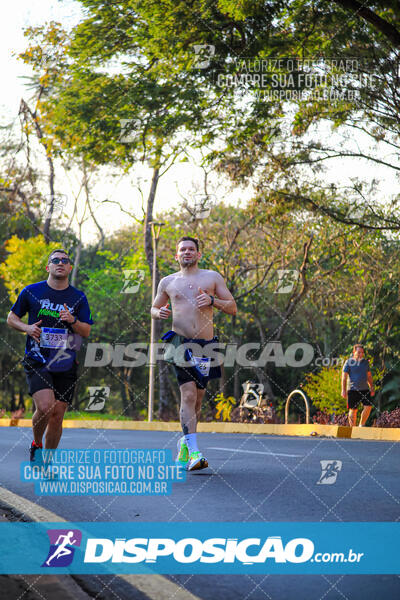 MEIA MARATONA MUFFATO FRESH RUN 2024 – LONDRINA