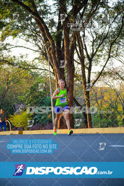 MEIA MARATONA MUFFATO FRESH RUN 2024 – LONDRINA