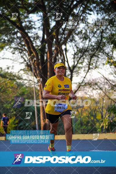 MEIA MARATONA MUFFATO FRESH RUN 2024 – LONDRINA