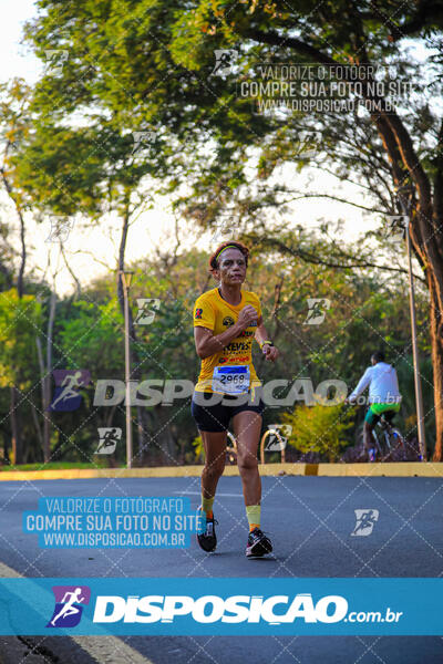 MEIA MARATONA MUFFATO FRESH RUN 2024 – LONDRINA