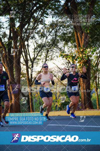 MEIA MARATONA MUFFATO FRESH RUN 2024 – LONDRINA