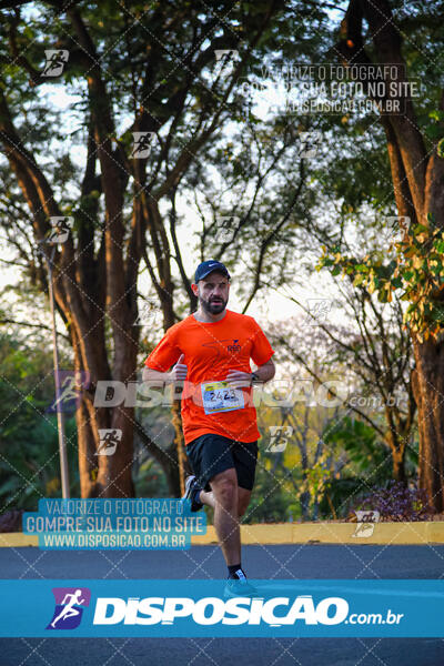 MEIA MARATONA MUFFATO FRESH RUN 2024 – LONDRINA