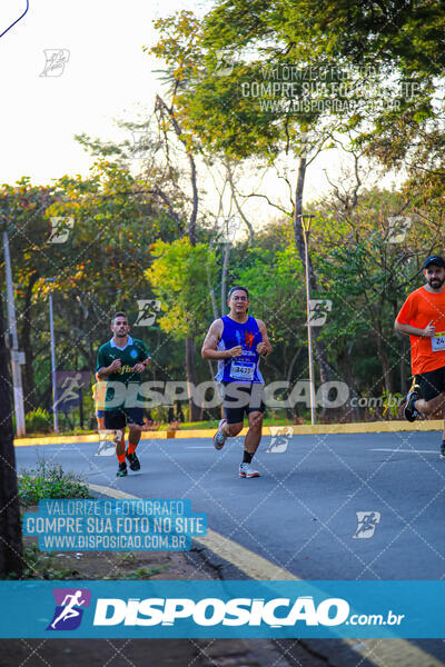 MEIA MARATONA MUFFATO FRESH RUN 2024 – LONDRINA