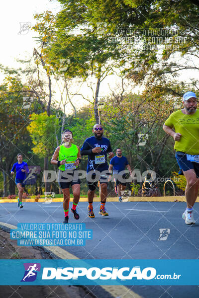 MEIA MARATONA MUFFATO FRESH RUN 2024 – LONDRINA