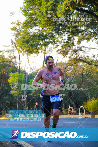 MEIA MARATONA MUFFATO FRESH RUN 2024 – LONDRINA