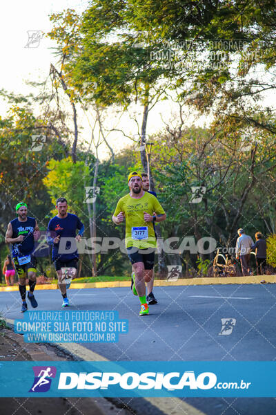 MEIA MARATONA MUFFATO FRESH RUN 2024 – LONDRINA