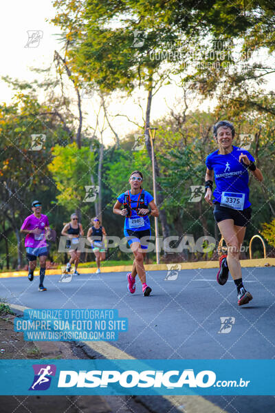 MEIA MARATONA MUFFATO FRESH RUN 2024 – LONDRINA