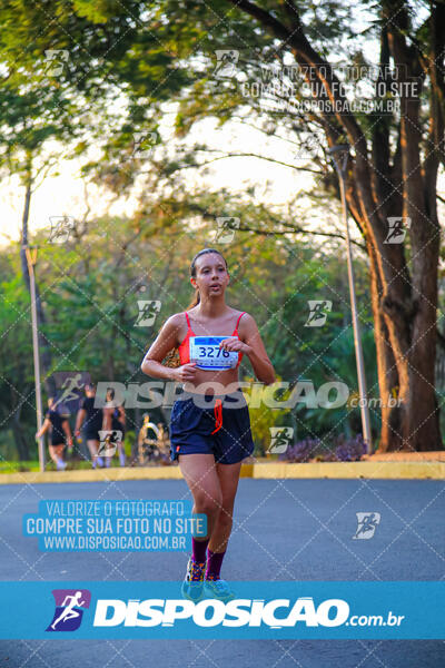 MEIA MARATONA MUFFATO FRESH RUN 2024 – LONDRINA