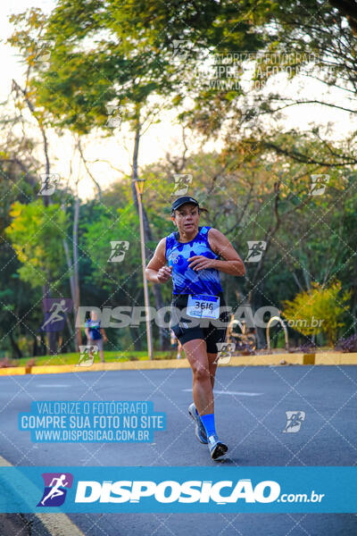 MEIA MARATONA MUFFATO FRESH RUN 2024 – LONDRINA