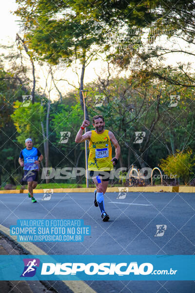 MEIA MARATONA MUFFATO FRESH RUN 2024 – LONDRINA