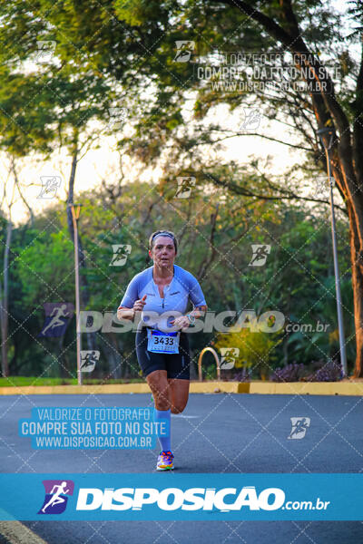 MEIA MARATONA MUFFATO FRESH RUN 2024 – LONDRINA